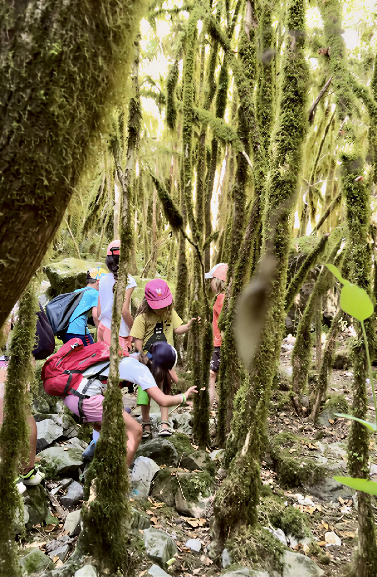 Yoga, sang og naturretreat