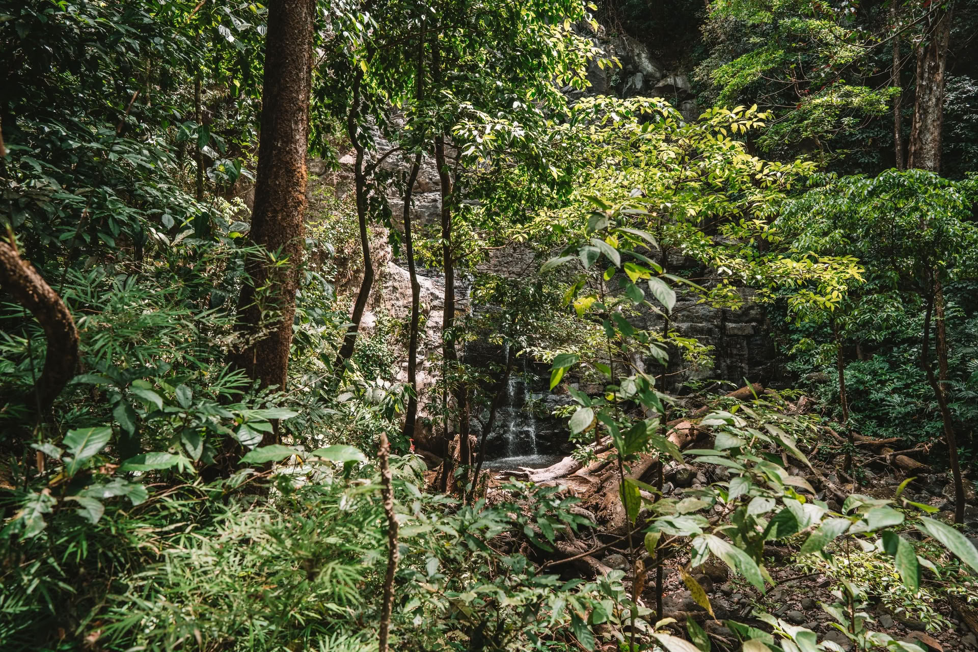 Digital detox-retreat