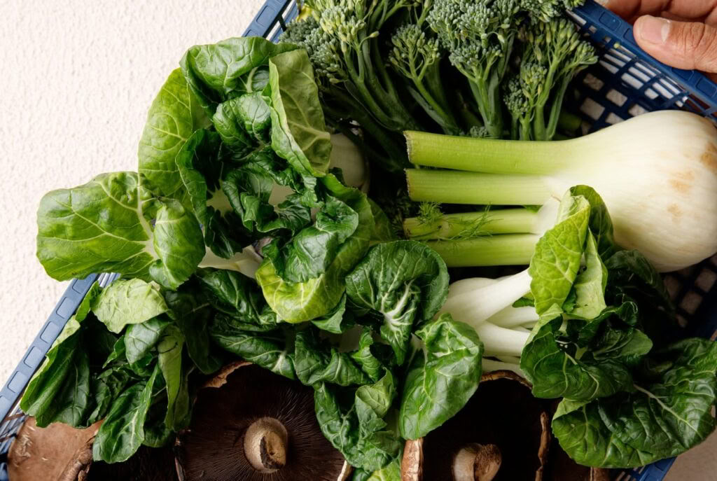 Holistisk detoxprogram