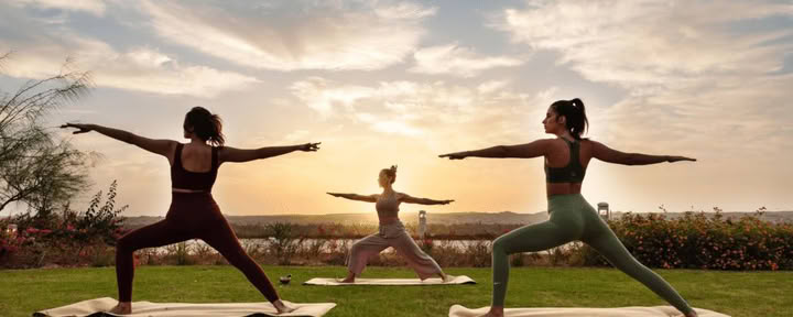 Holistisk detoxprogram