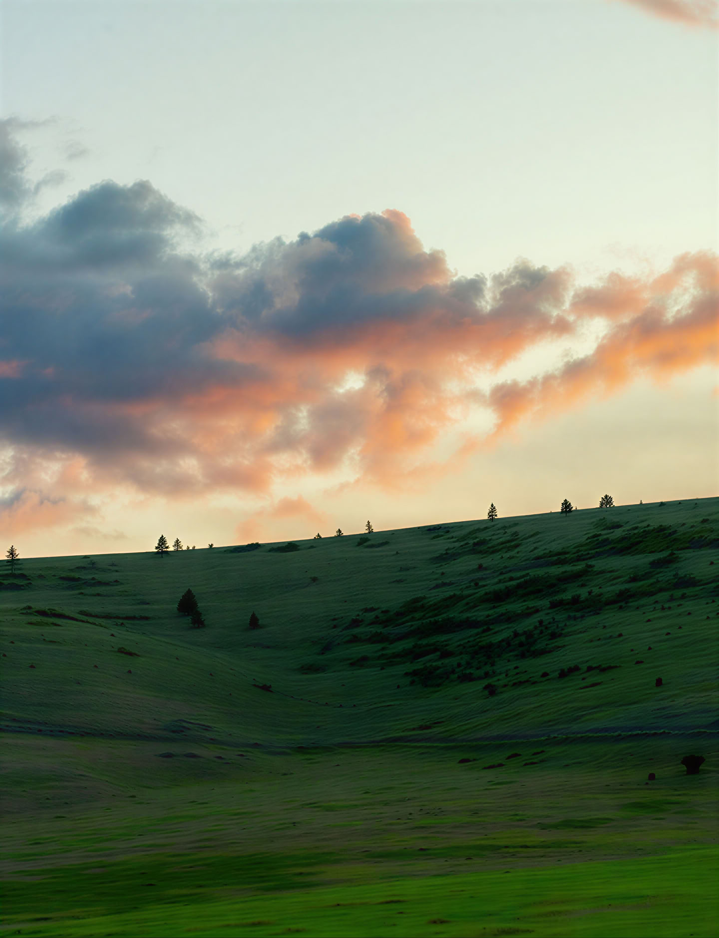Buddha-, Dharma- og Sangha-retreat