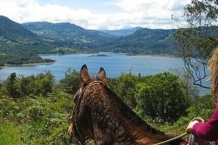 Wellness-retreat i Colombia
