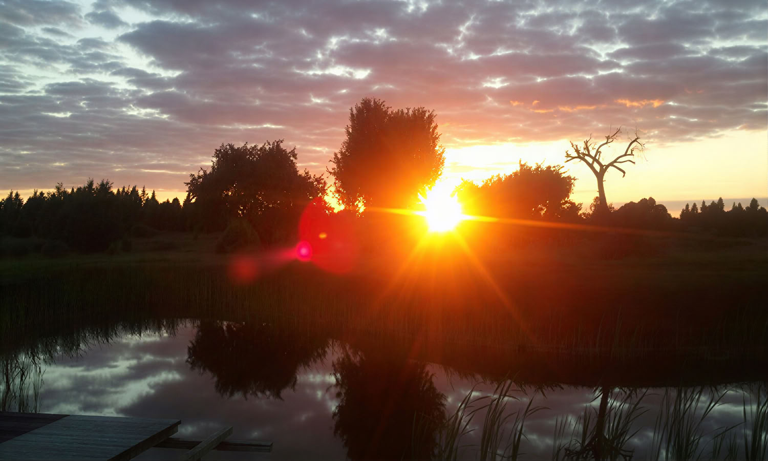 Individuelt retreat i naturen