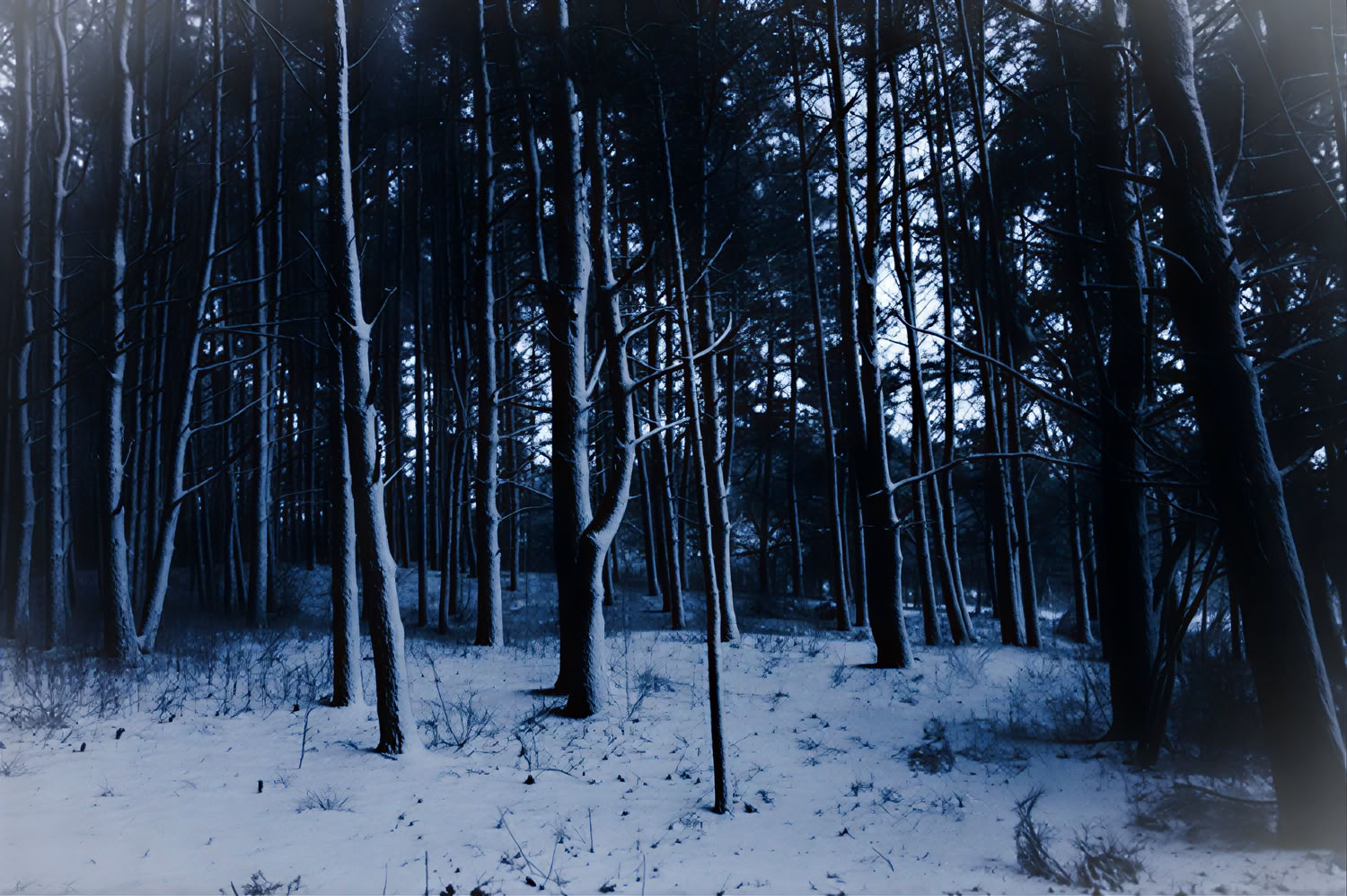 Individuelt retreat i naturen