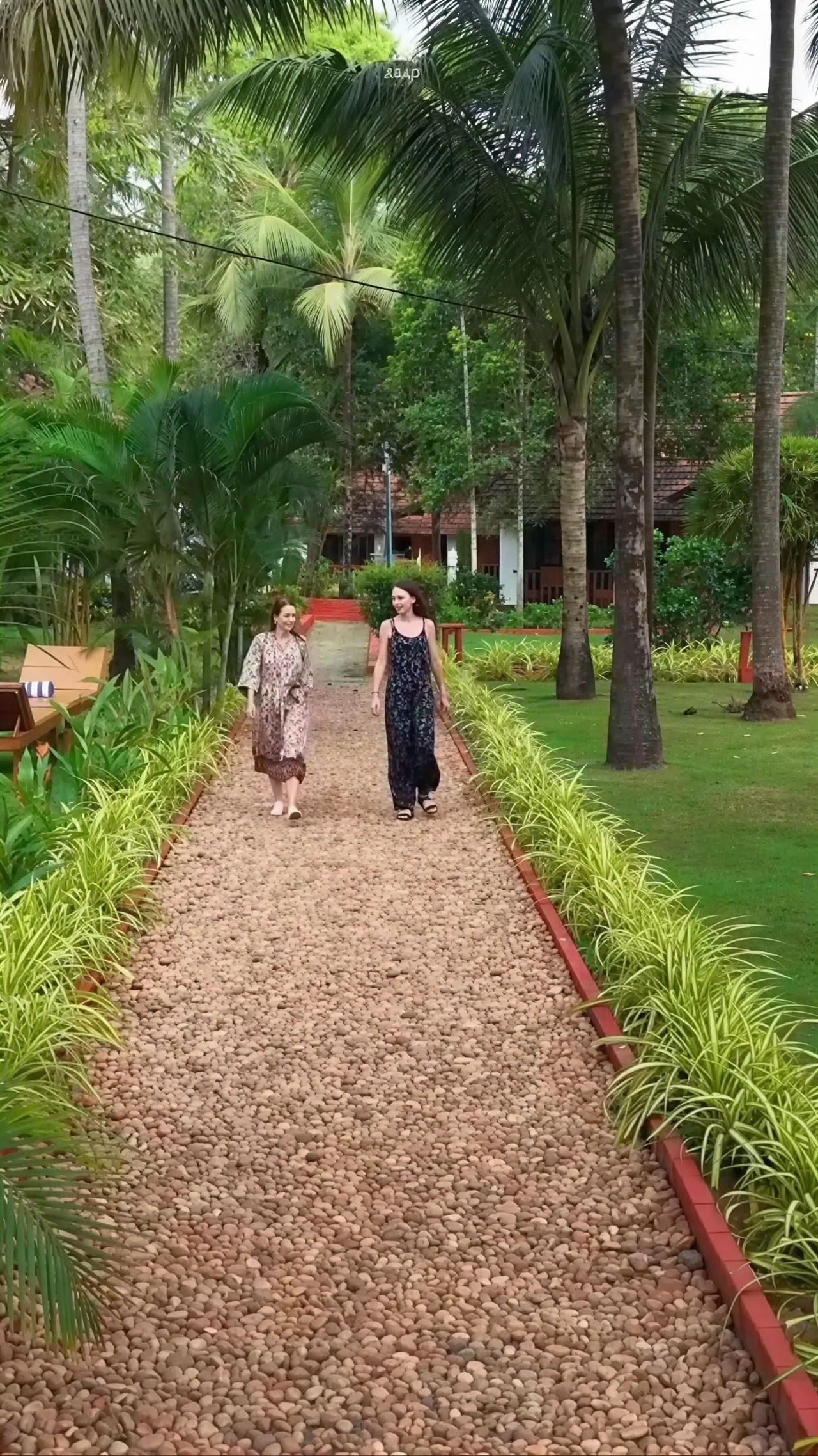 14-nætters ayurvedisk detox-program hos Nagarjuna