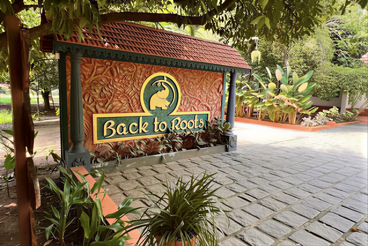 14-nætters detox hos Back to Roots Ayurveda