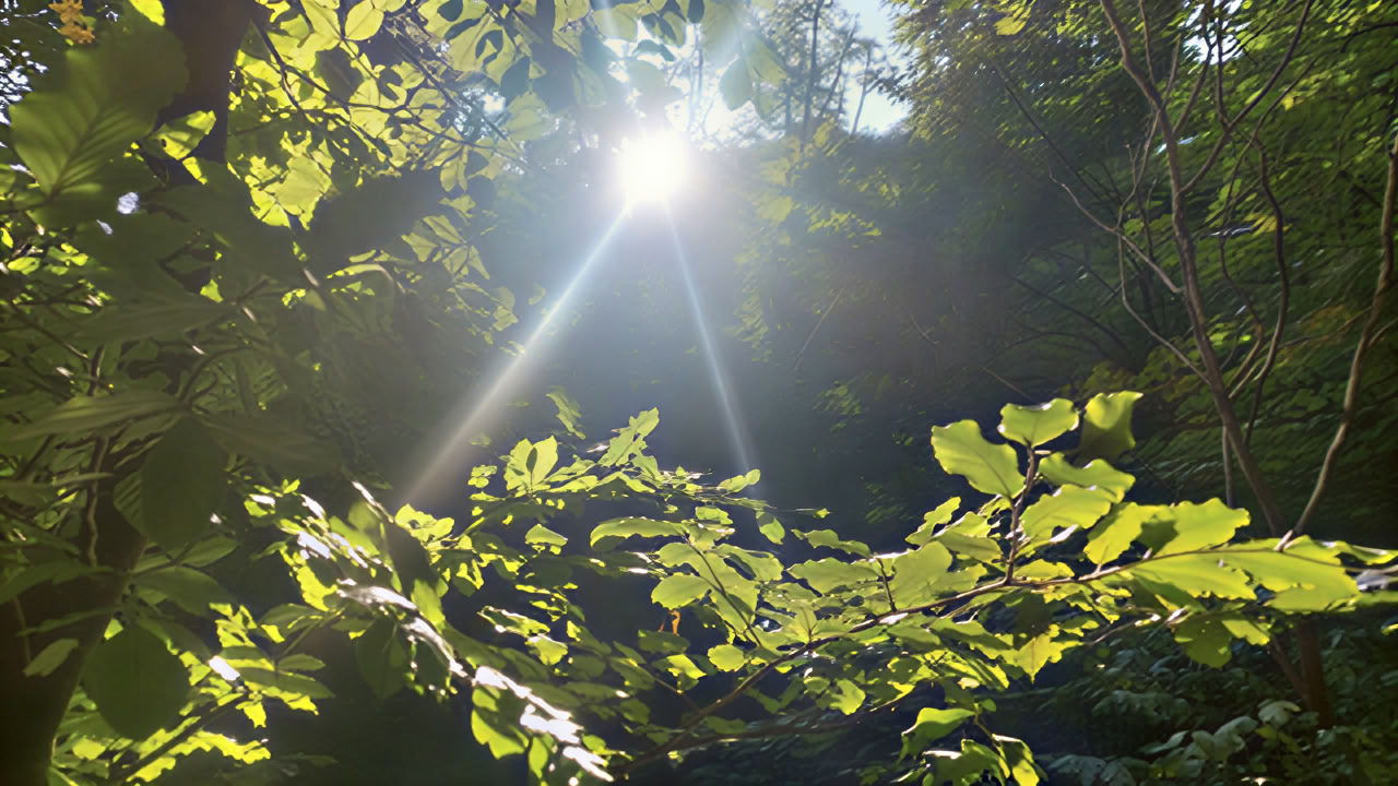 Mindfulness og Metta – En yogaweekend