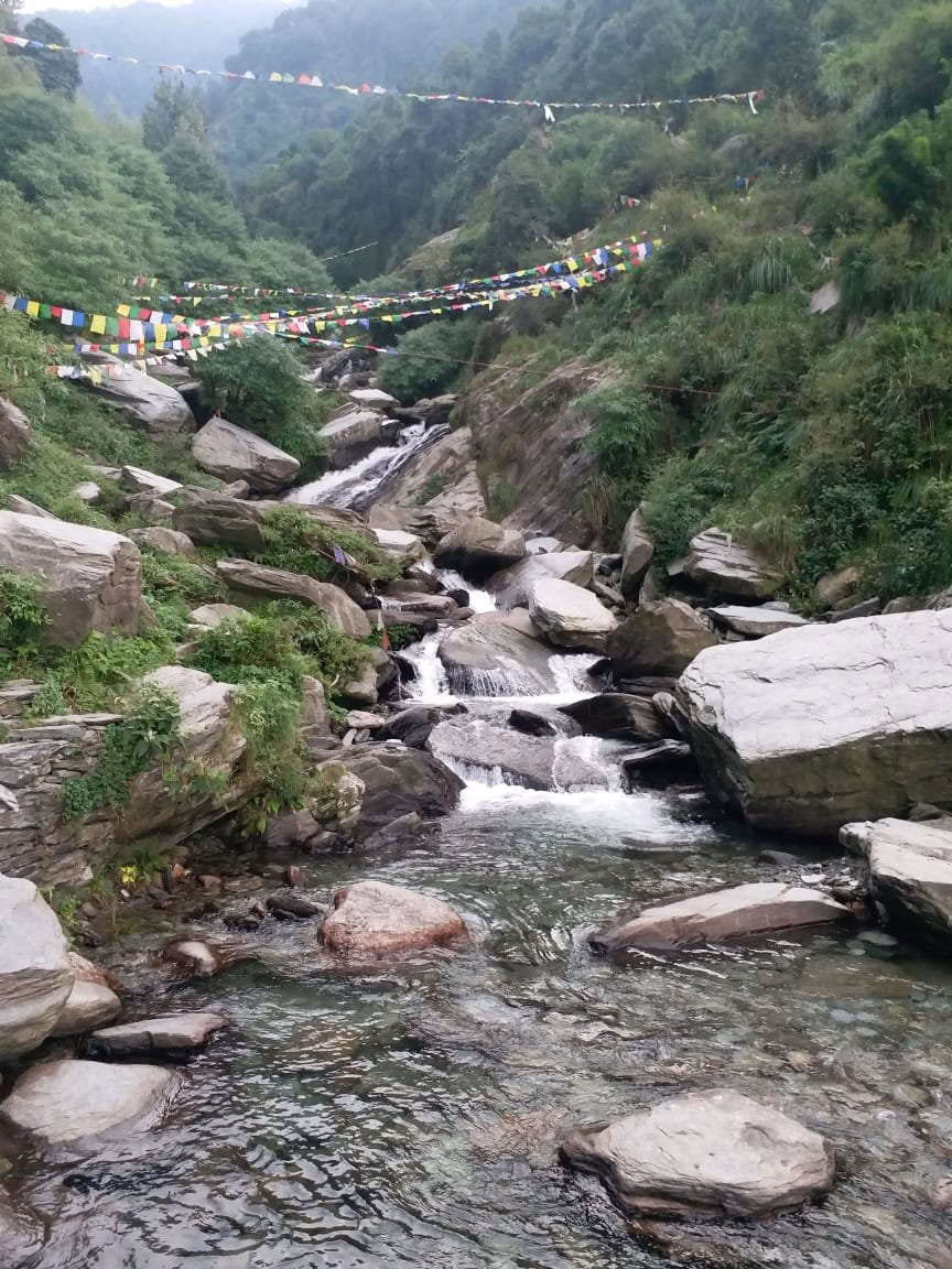 200 timers yogalæreruddannelse i Dharamsala