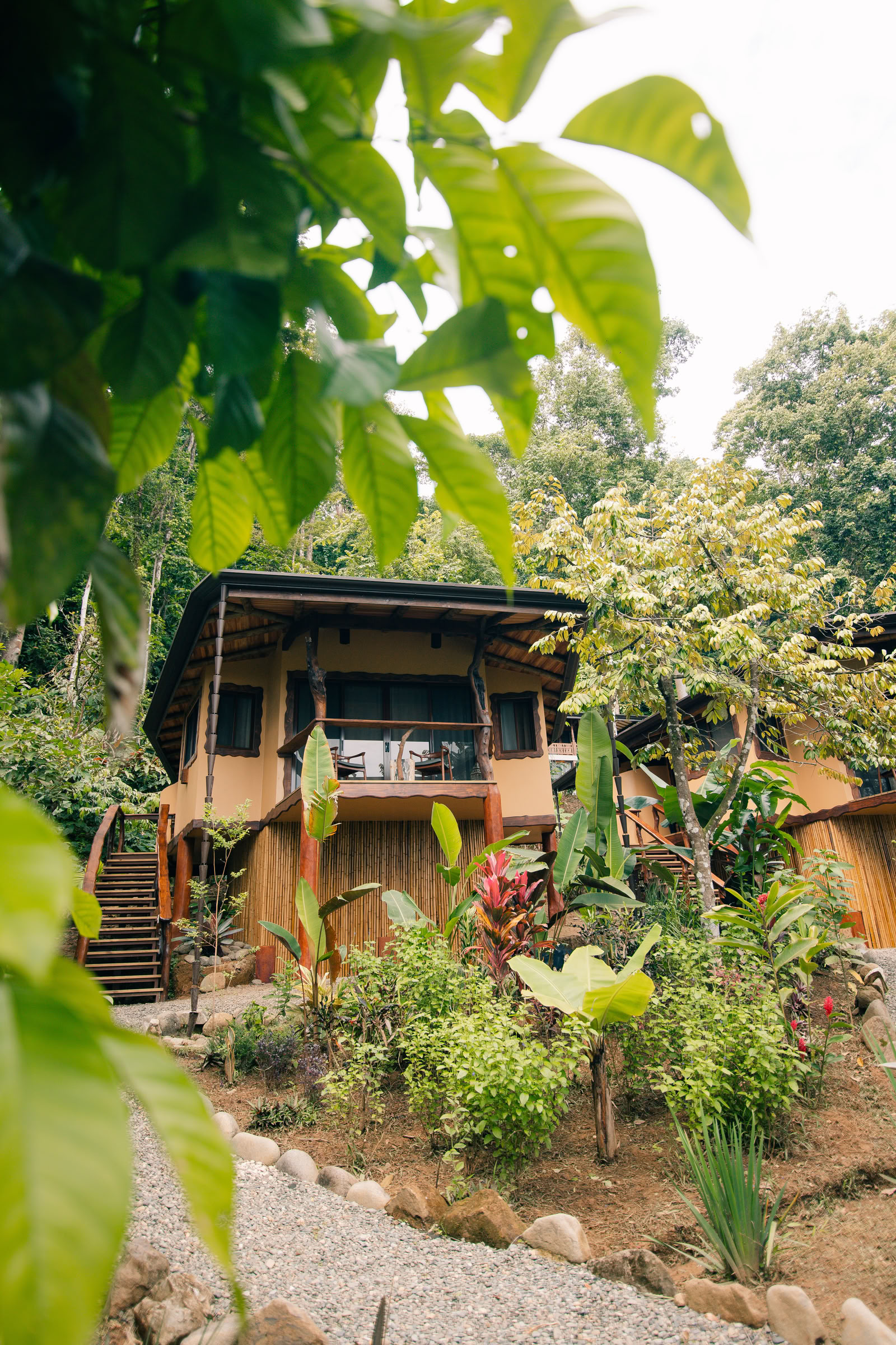 Harlem Cykel-eventyr Wellness-retreat
