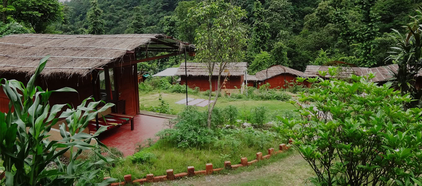 100 timers yogalæreruddannelse i Rishikesh