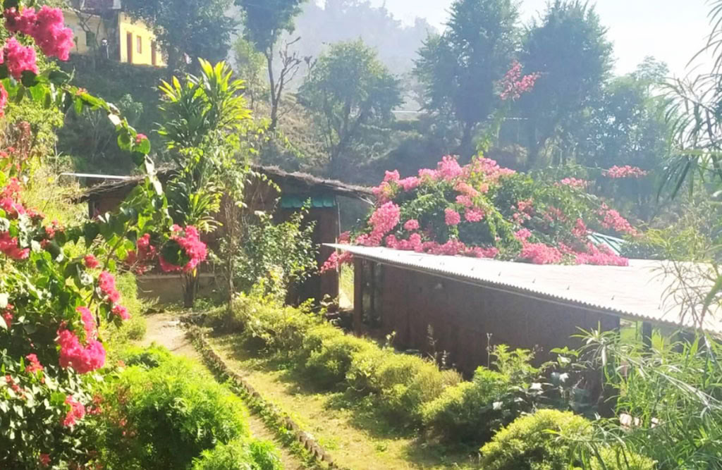 100 timers yogalæreruddannelse i Rishikesh