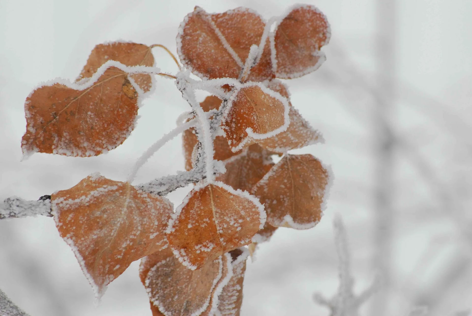 Adventsretreat #3
