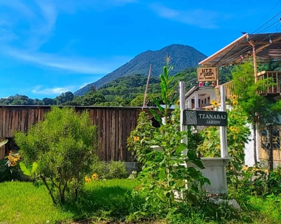 Fuglekig-ture