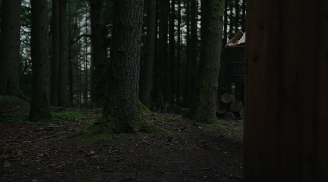 Saunasesjoner