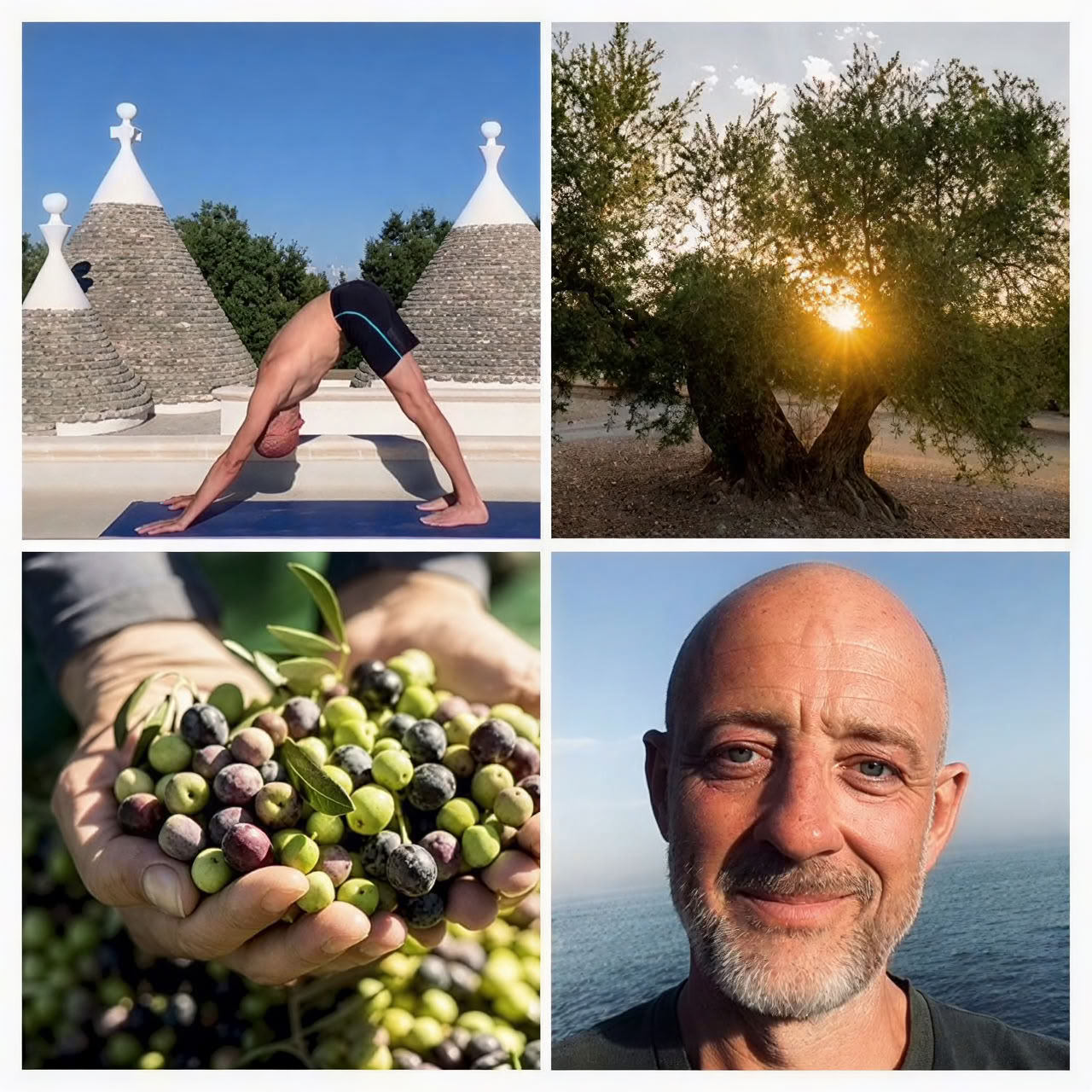 Yoga- og olivenhøst-retreat