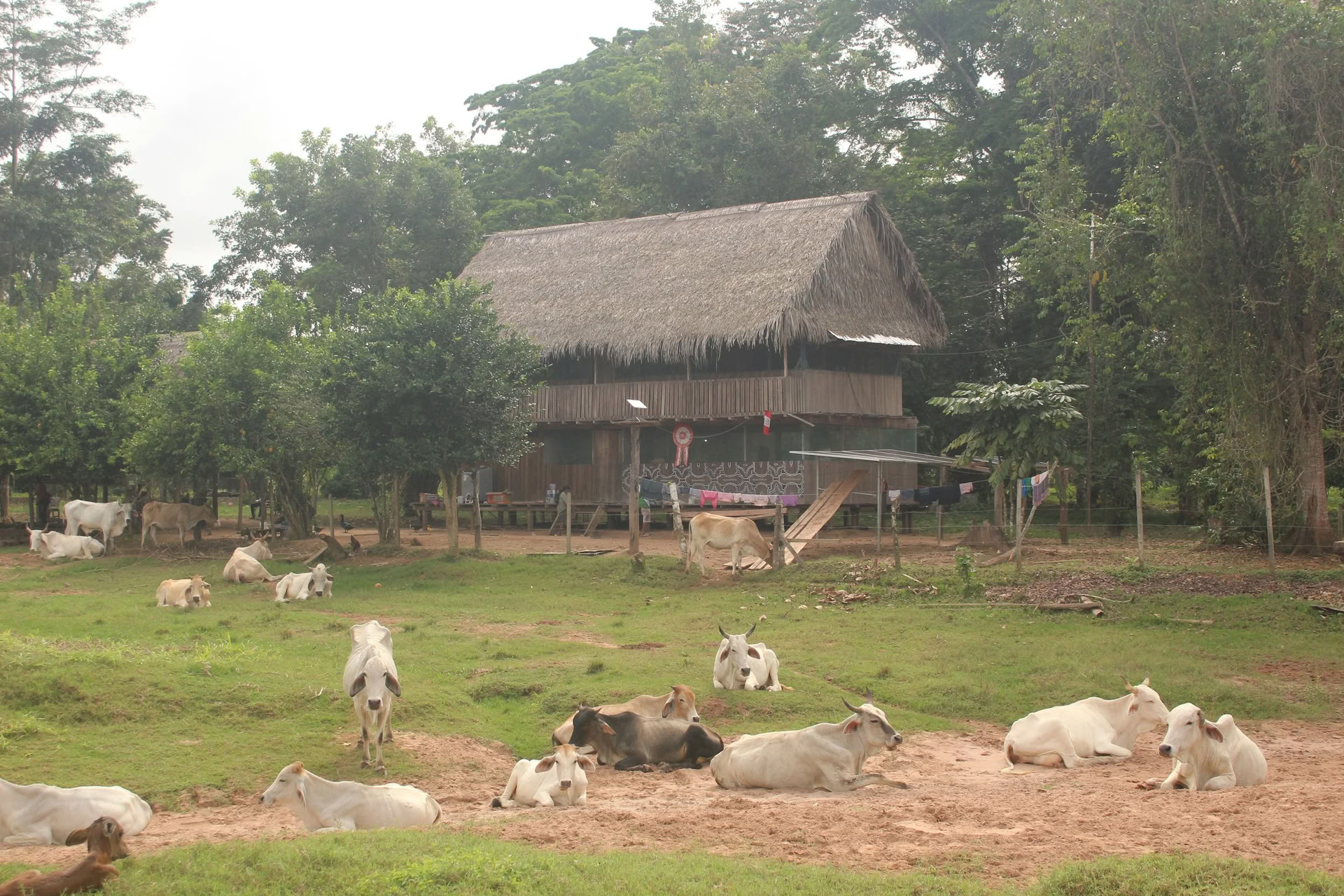 2-ugers retreat