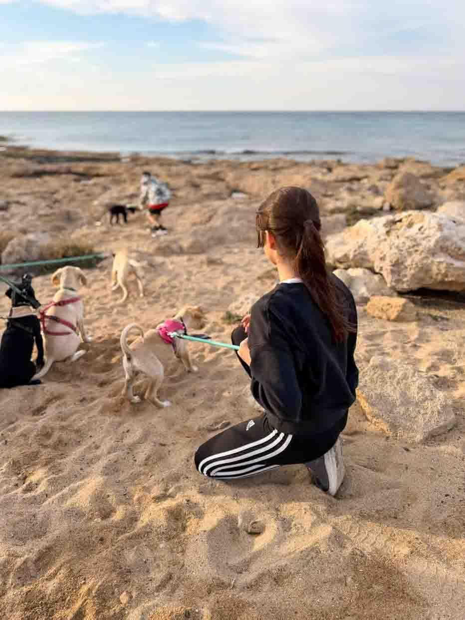 Hvalpestrandtur