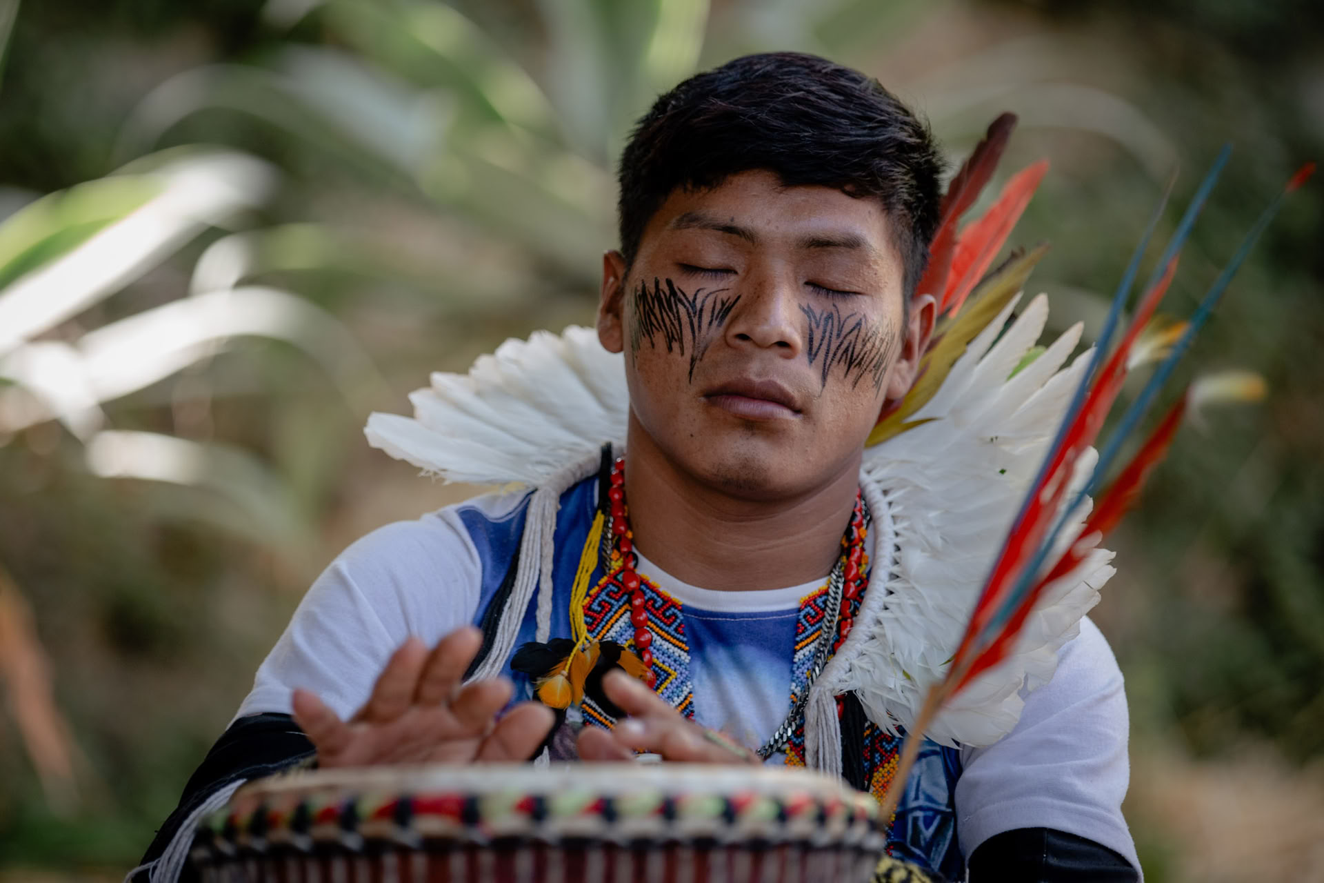 Ayahuasca-ceremonier