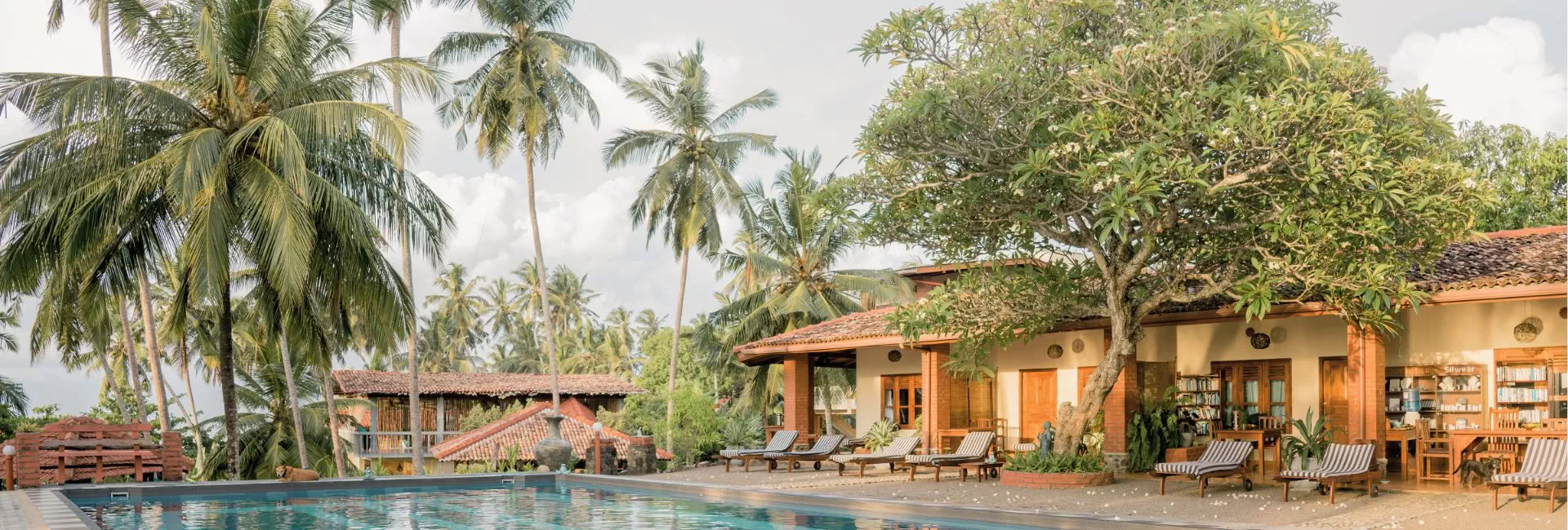 Sri Lanka-retreat – april 2027
