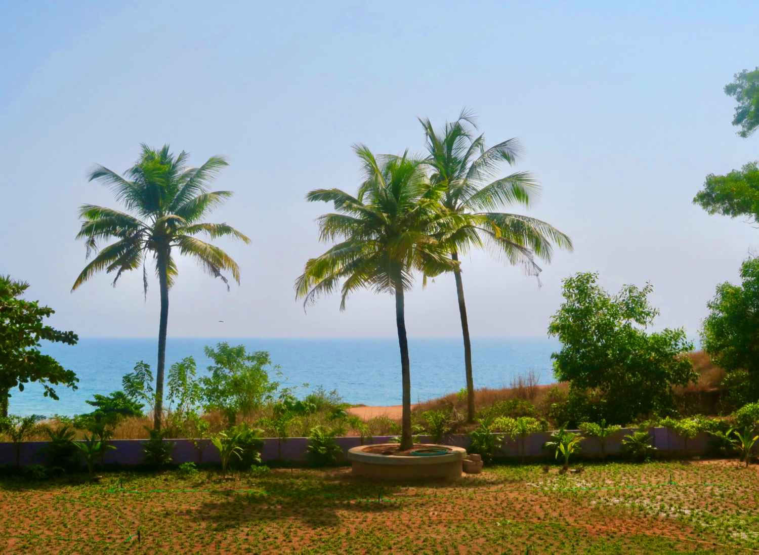 14-dages Panchakarma- og yoga-retreat i Varkala, Kerala