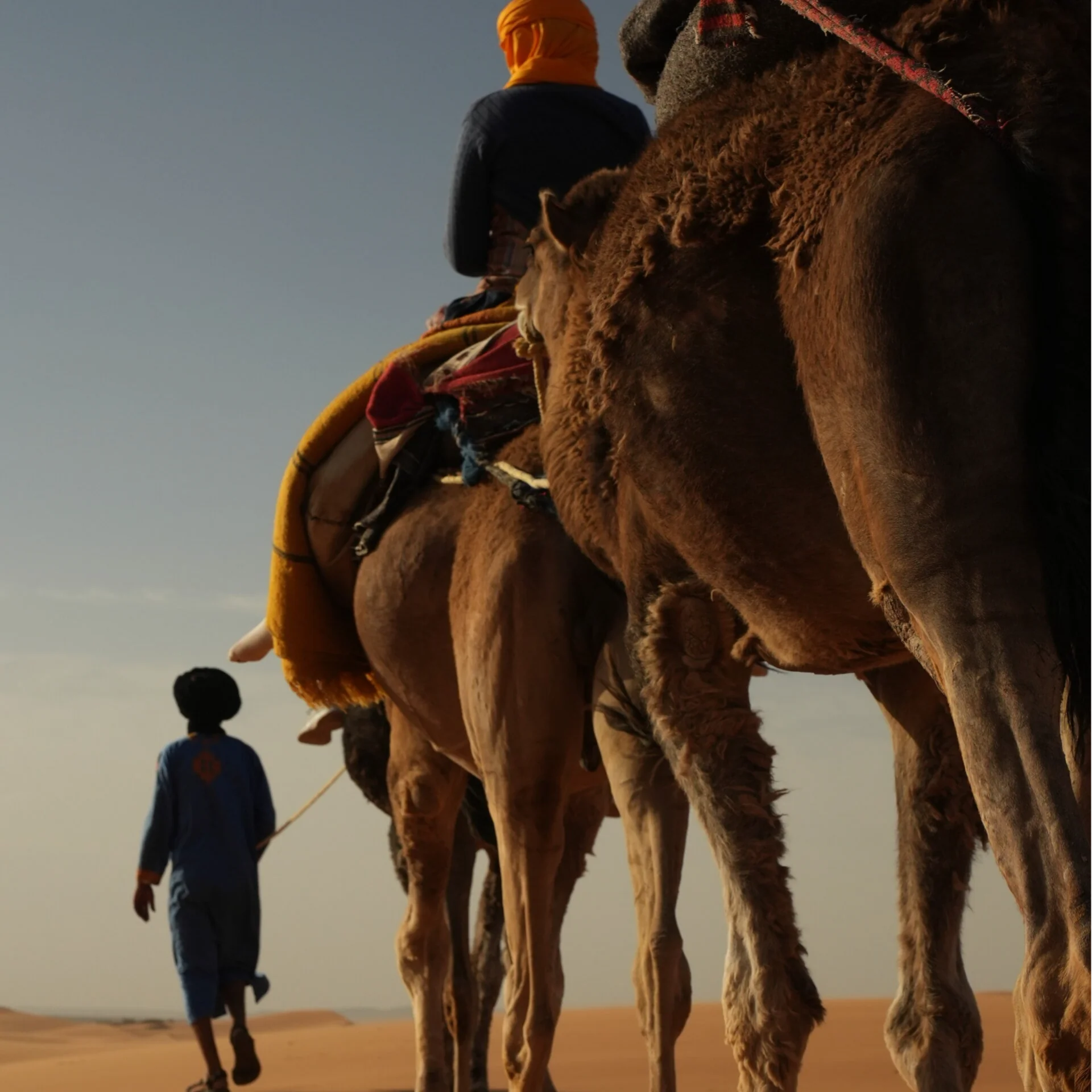 Yoga-karavane – 9 dage fra Nordmarokko til Merzougas sanddyner