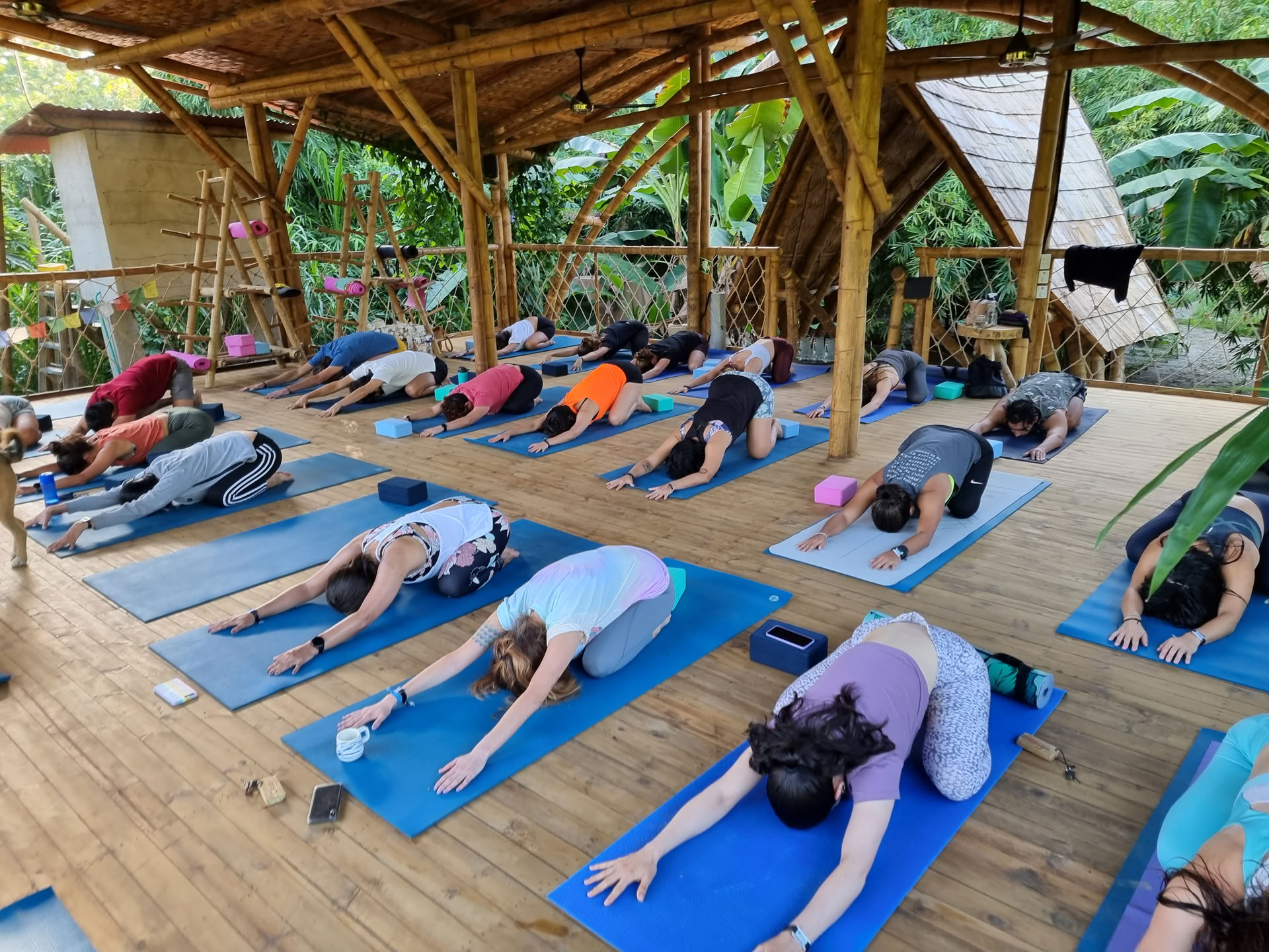 Yoga læreruddannelse 200 timer
