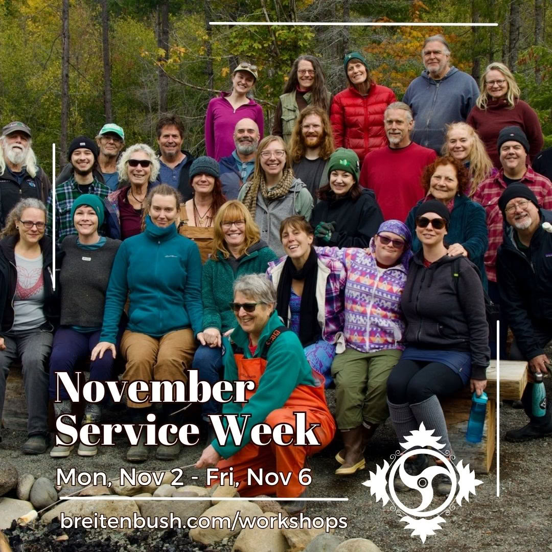 November serviceuge