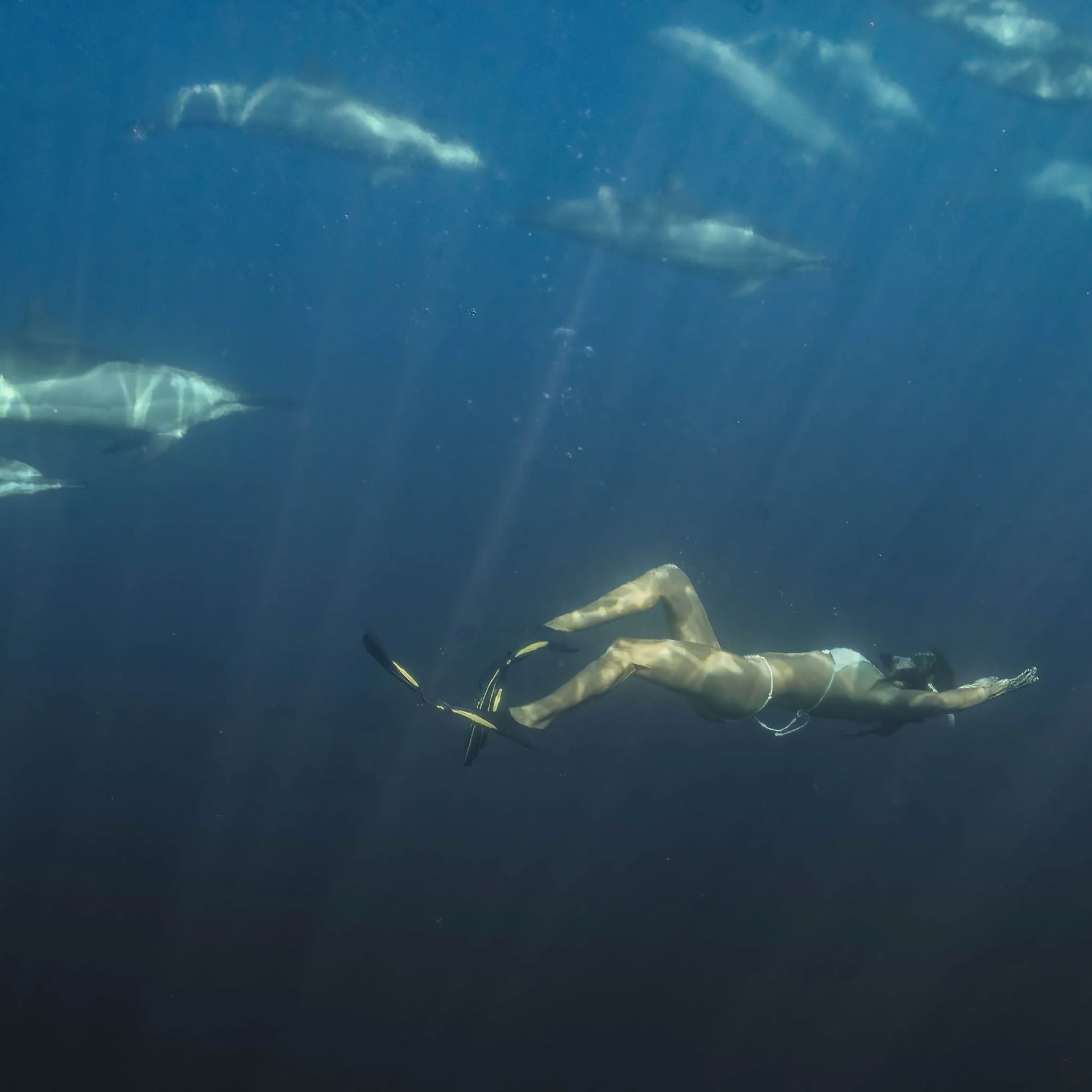 Hawaii Skræddersyede Retreats — Co-creation Somatisk Terapi Wellness
