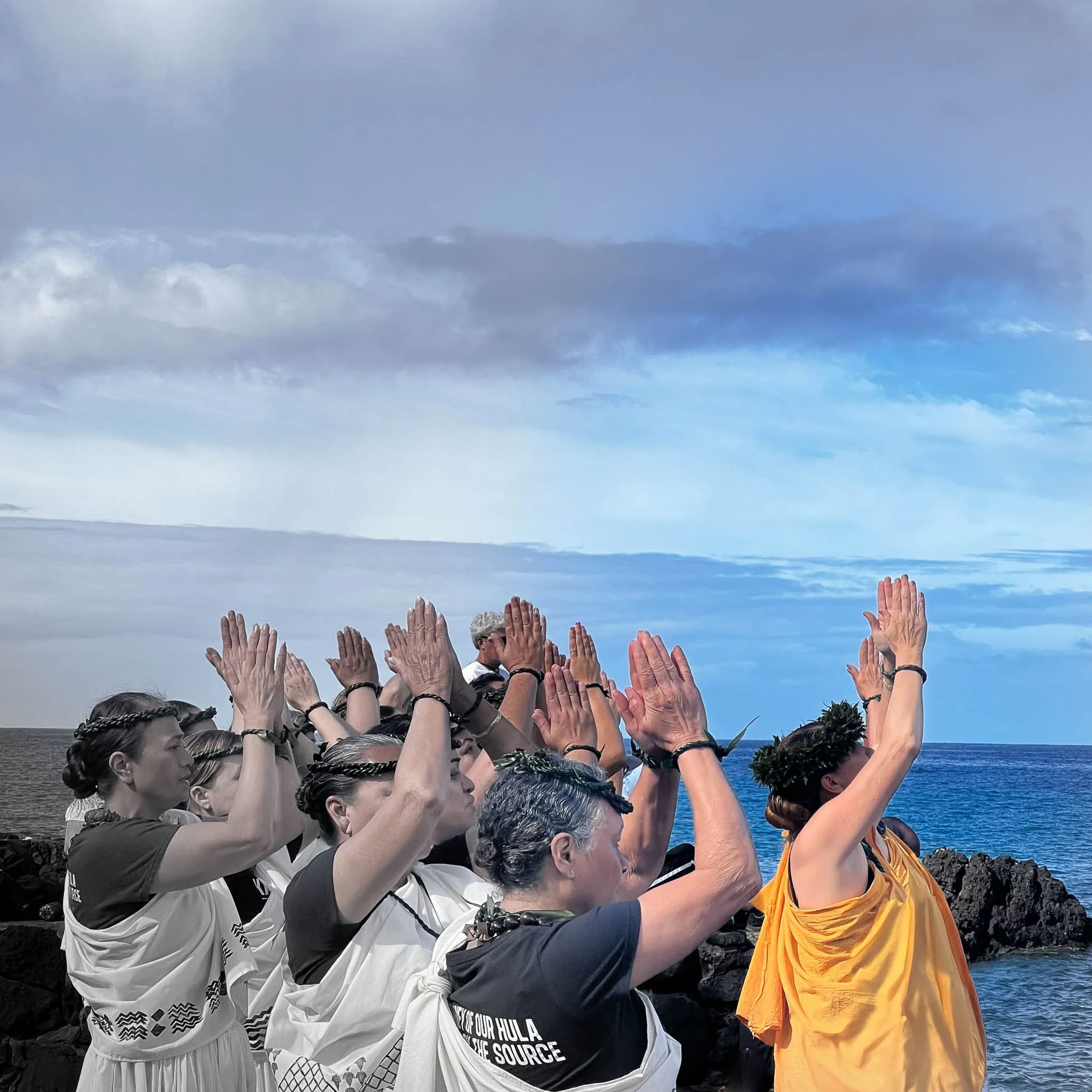 Hawaii Skræddersyede Retreats — Co-creation Somatisk Terapi Wellness