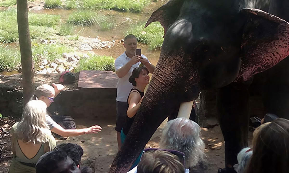 28 dages Panchakarma-behandling i Kerala