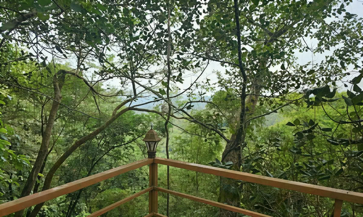 28 dages Panchakarma-behandling i Kerala