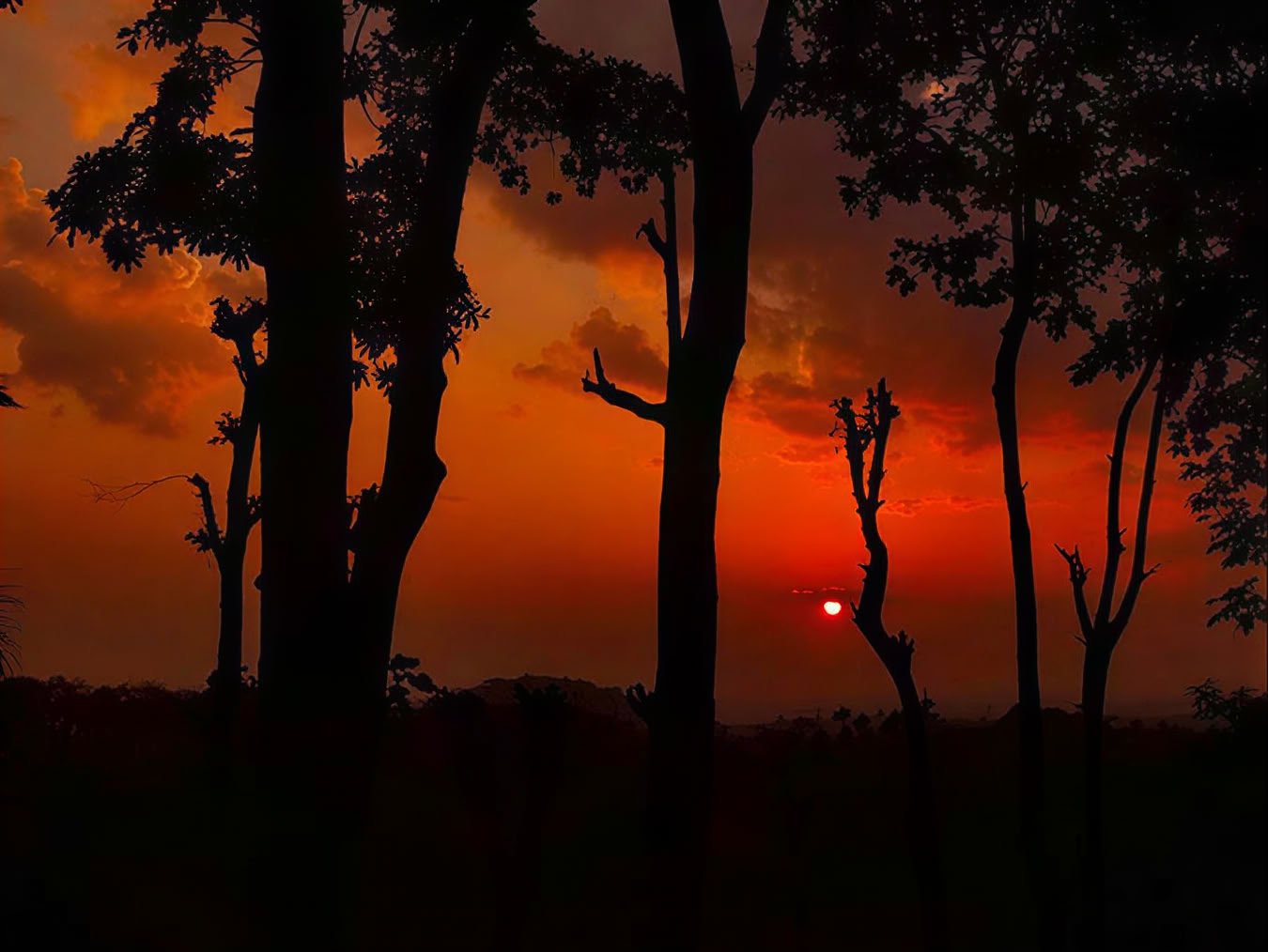 Yogakursus i Kerala