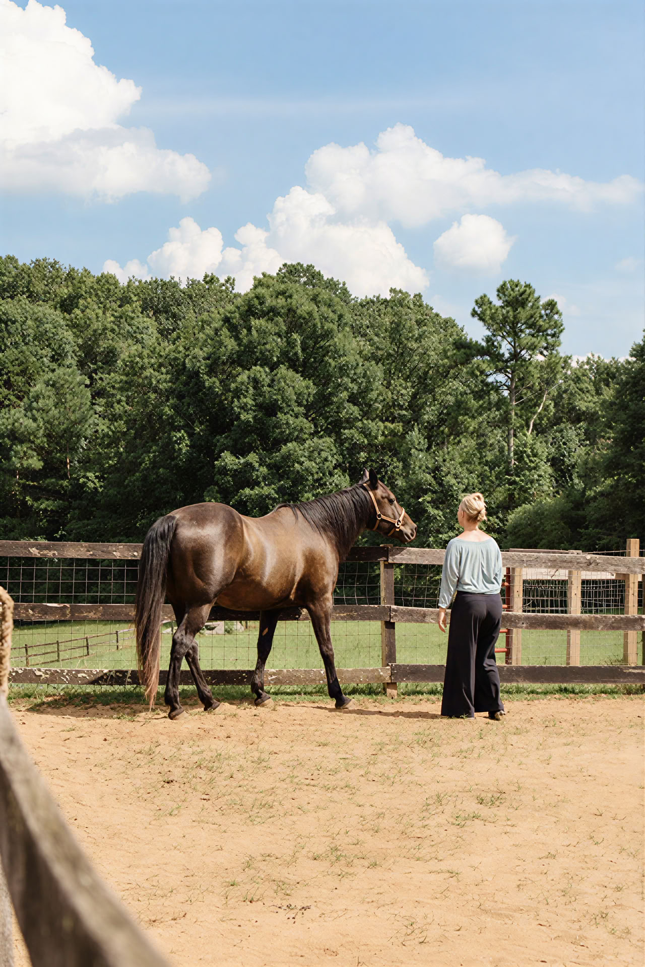 At stå i stilhed: Et unikt retreat for advokaters velvære