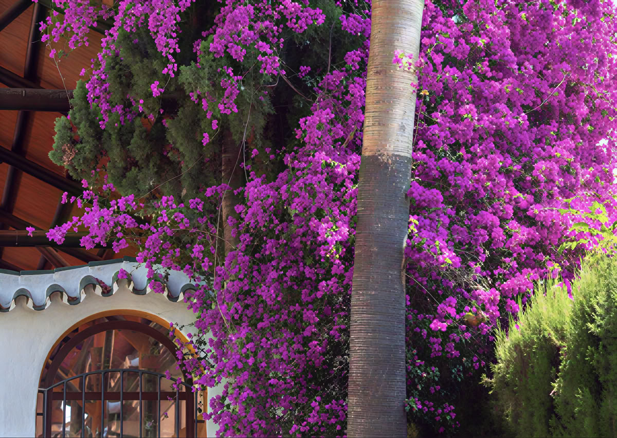 Yoga-retreat med Lisa Robert
