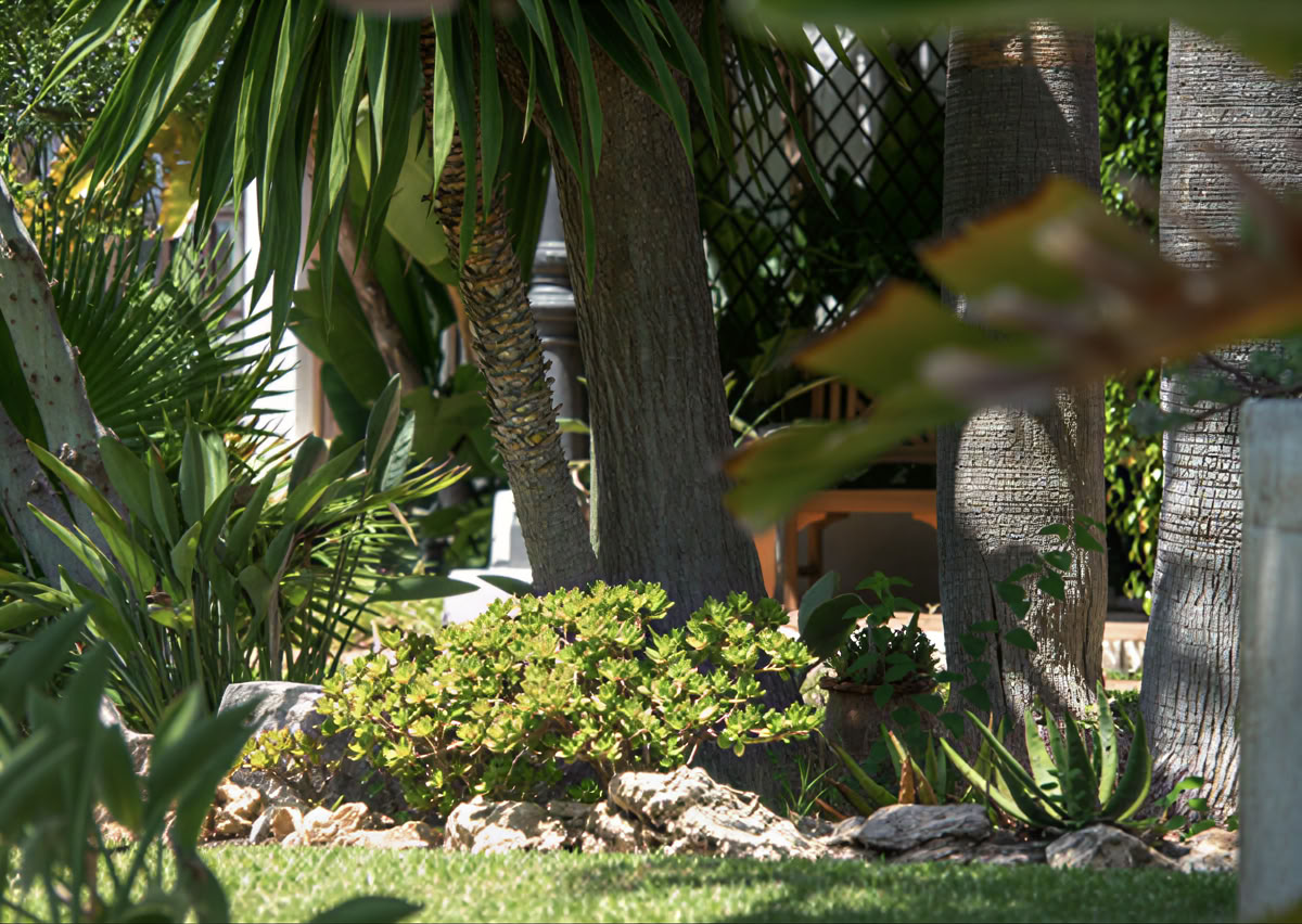 Wellness-retreat med Deirdre Fitzpatrick – Bedre min krop