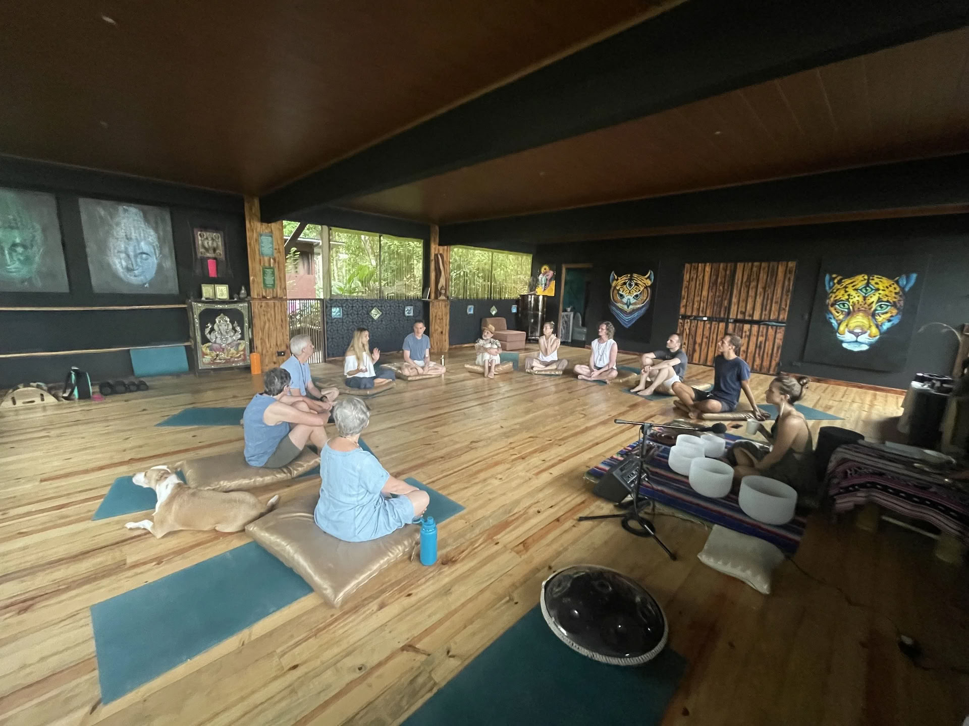 Floresta: 7-dages medicinsk musik-immersion