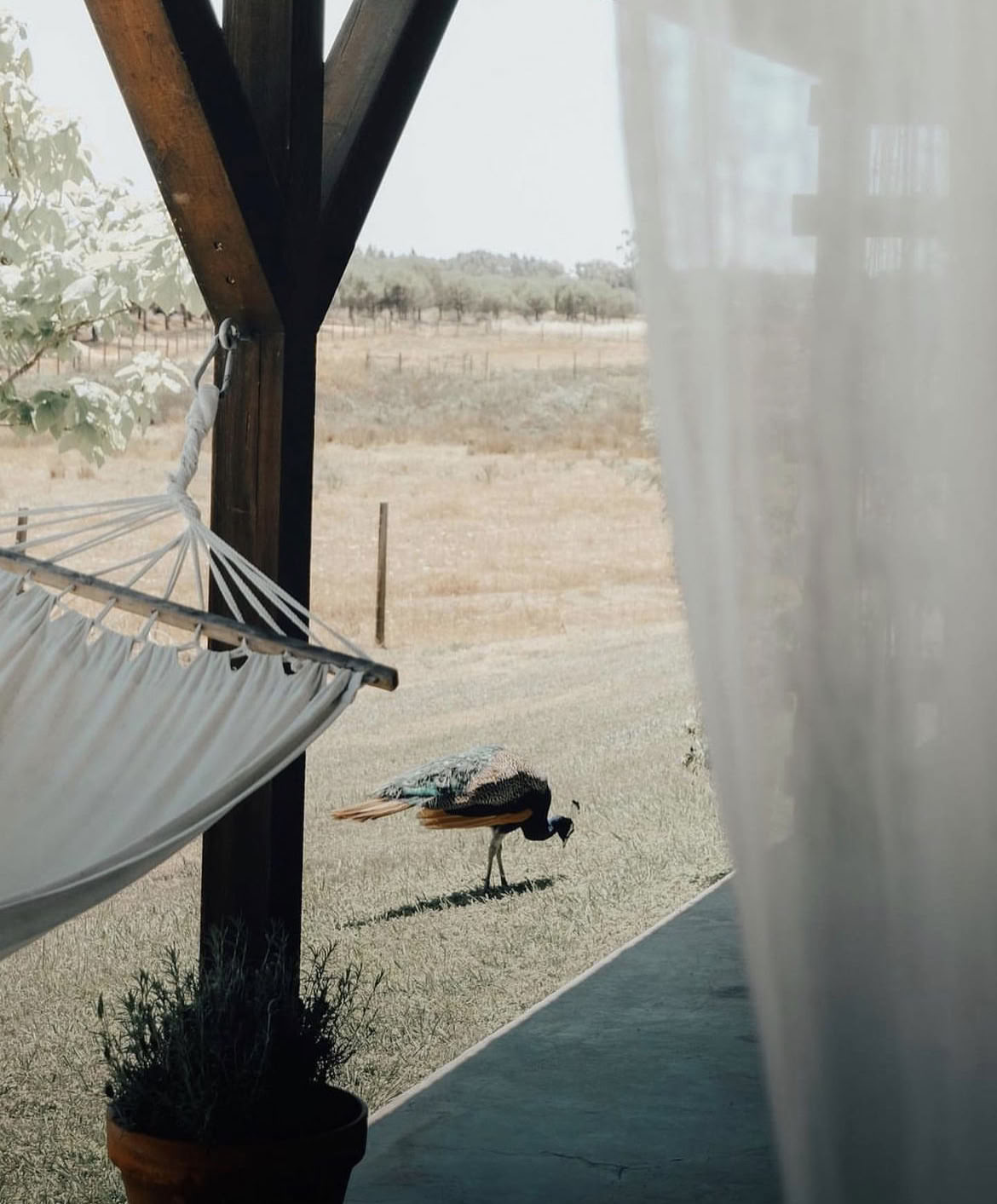 Genforbindende yogaretreat i Portugal