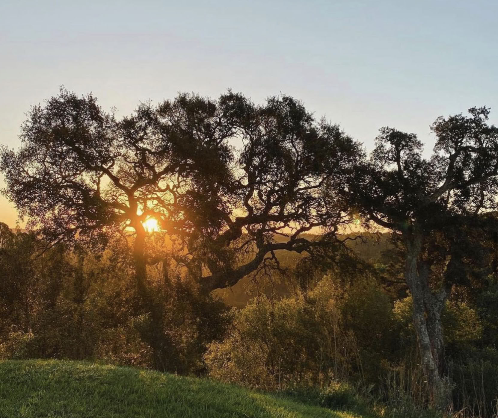 Genforbindende yogaretreat i Portugal