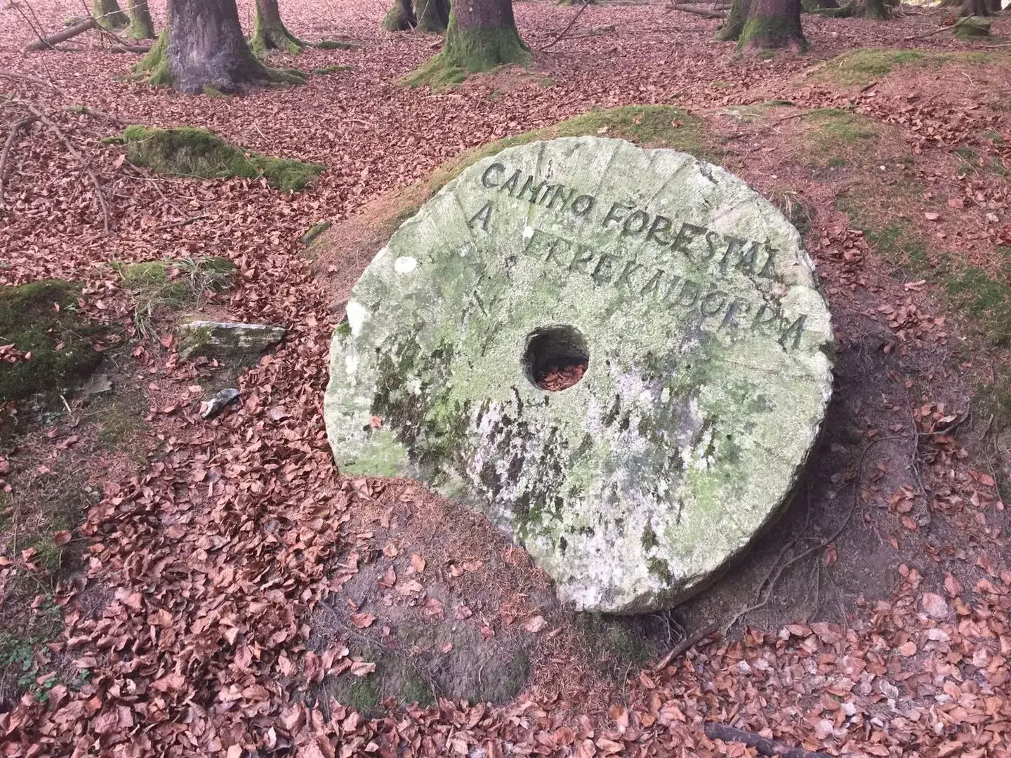 Forårs-vandreferie med yoga og meditation