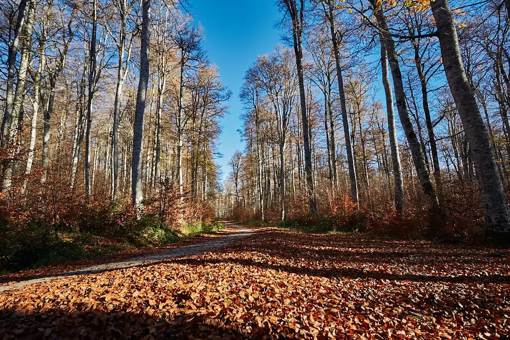 Meditations- og yogaretreat: Den hyggelige novemberflugt