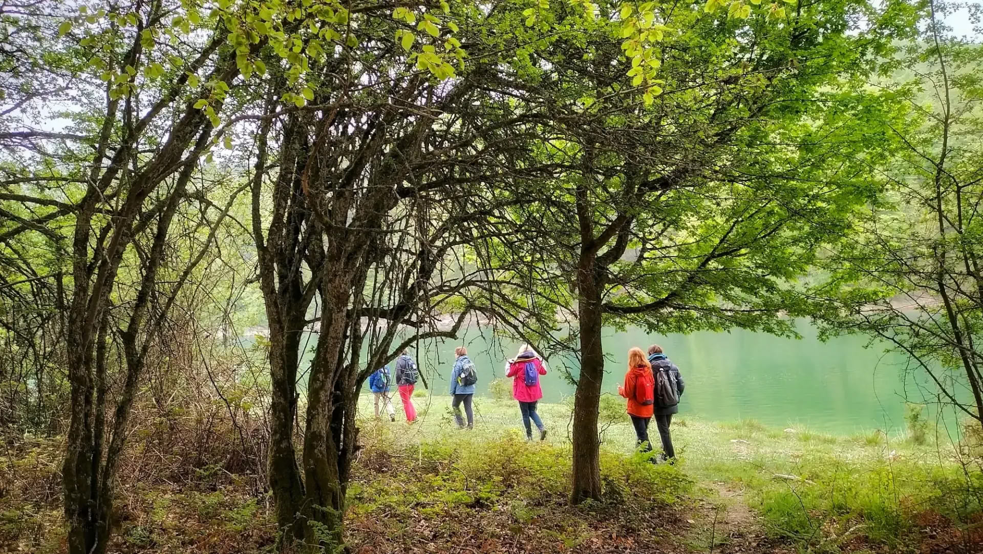 Skovbadning (Shinrin Yoku) & Yoga-retreat