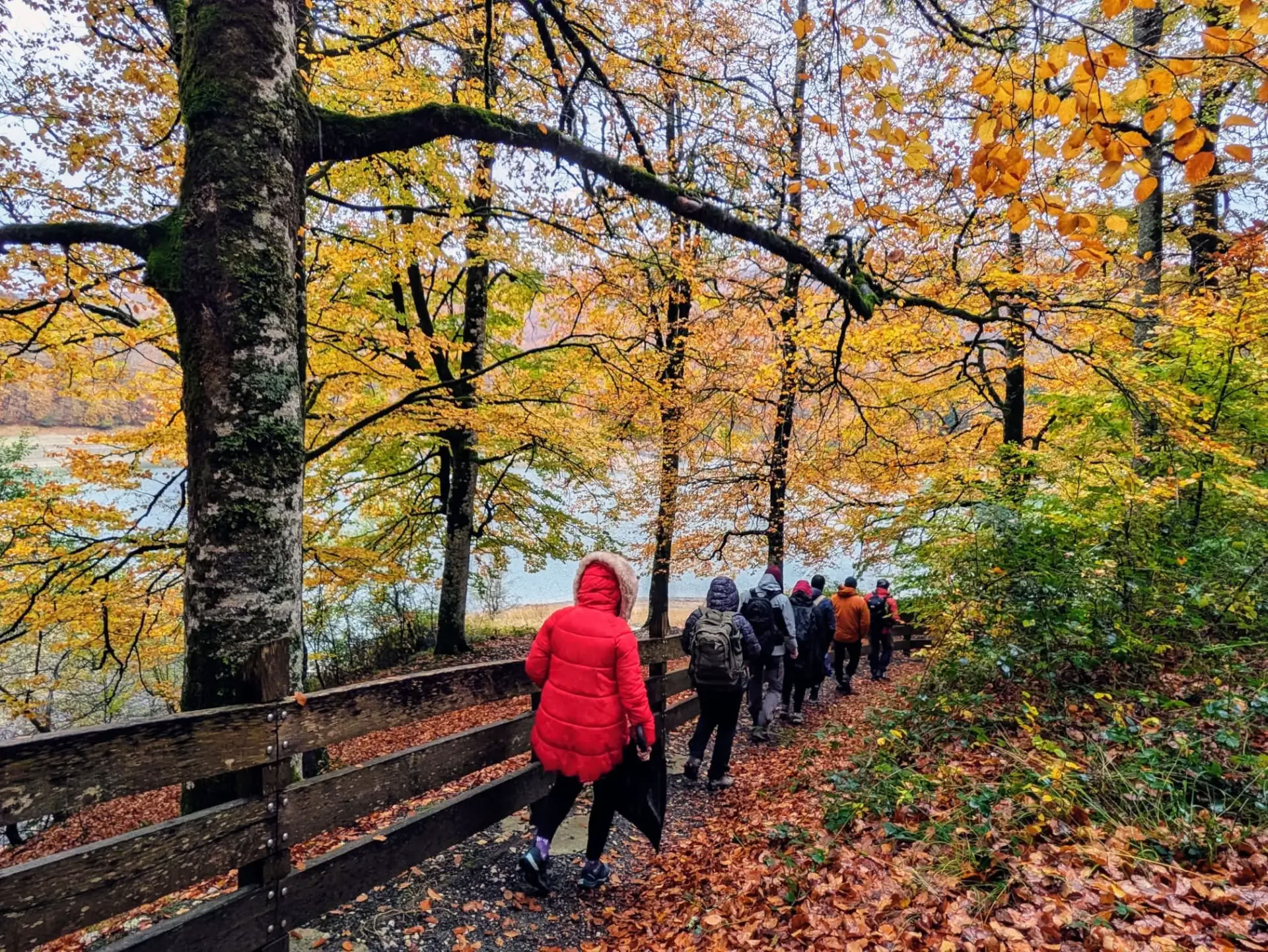Yoga & Meditationshelligdom: Et omsluttende retreat i Irati-skoven