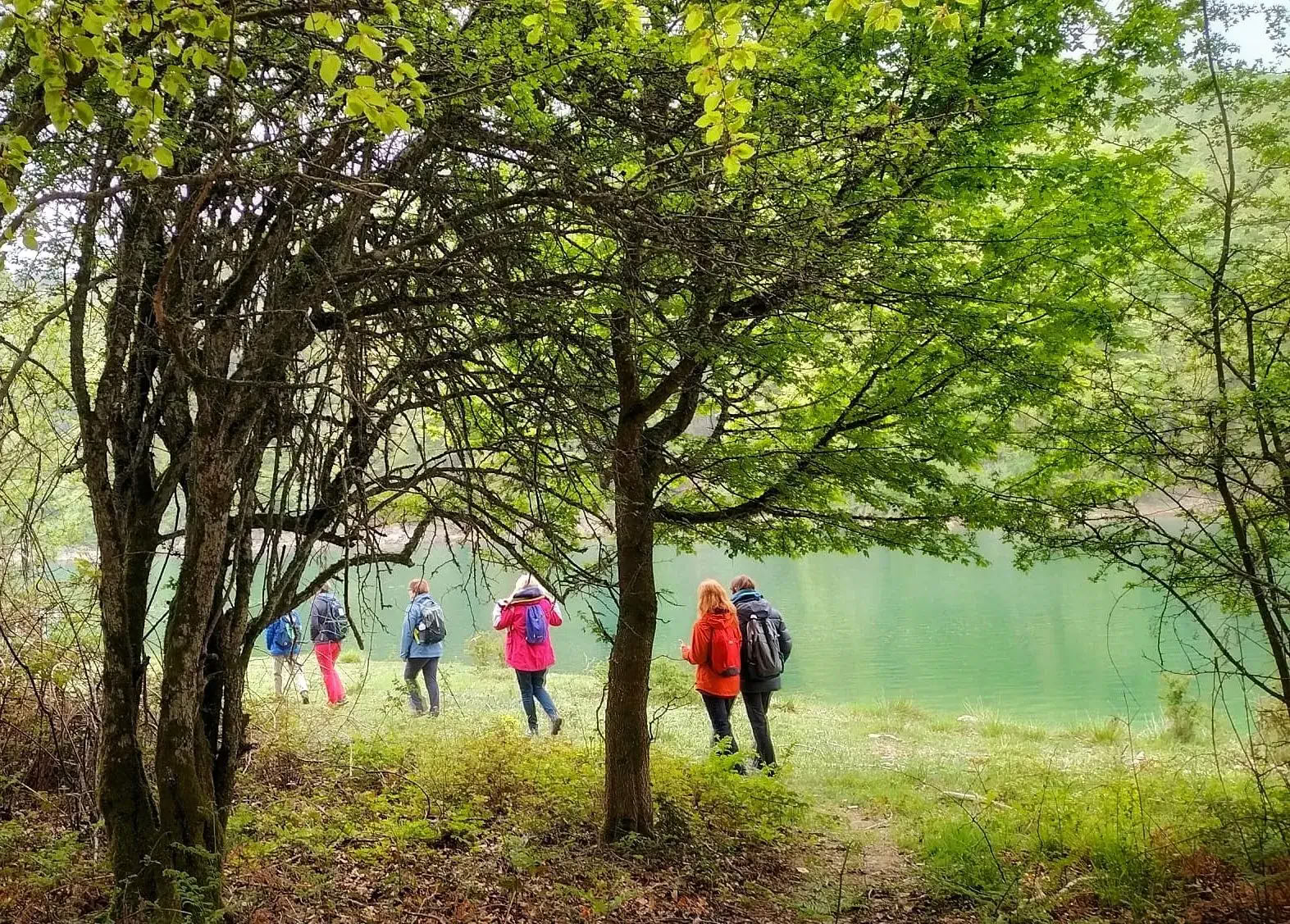 Oktoberyogaretreat: Den Gyldne Skovoplevelse