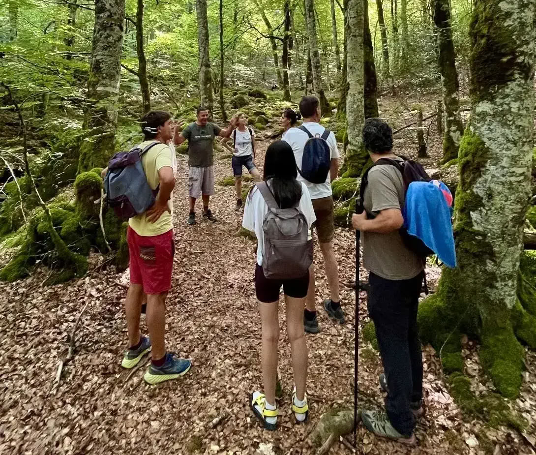 Oktoberyogaretreat: Den Gyldne Skovoplevelse