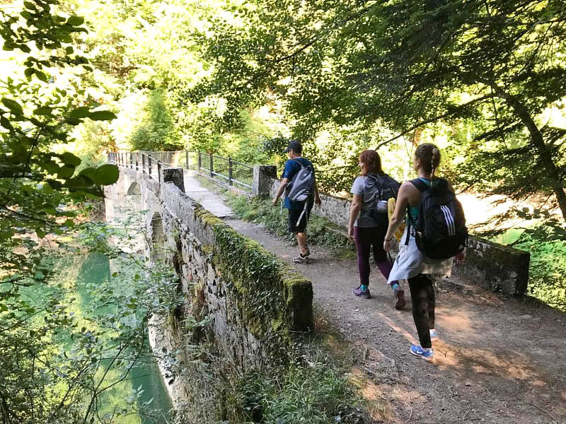 Maj-bankferie-yogaretreat: Skov og fornyelse