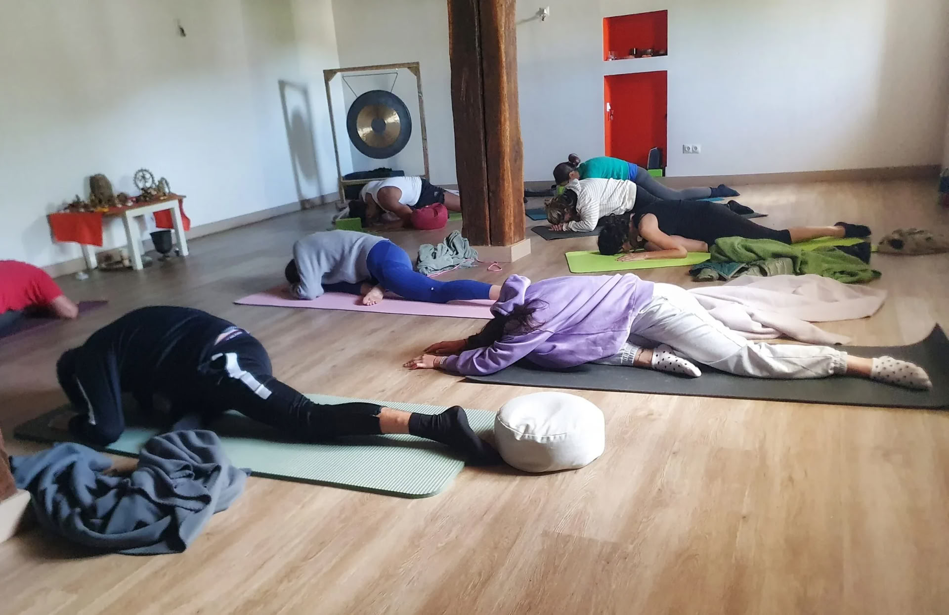 Mindfulness- og yogatilflugtssted: En professionel vintergenstart i Pyrenæerne