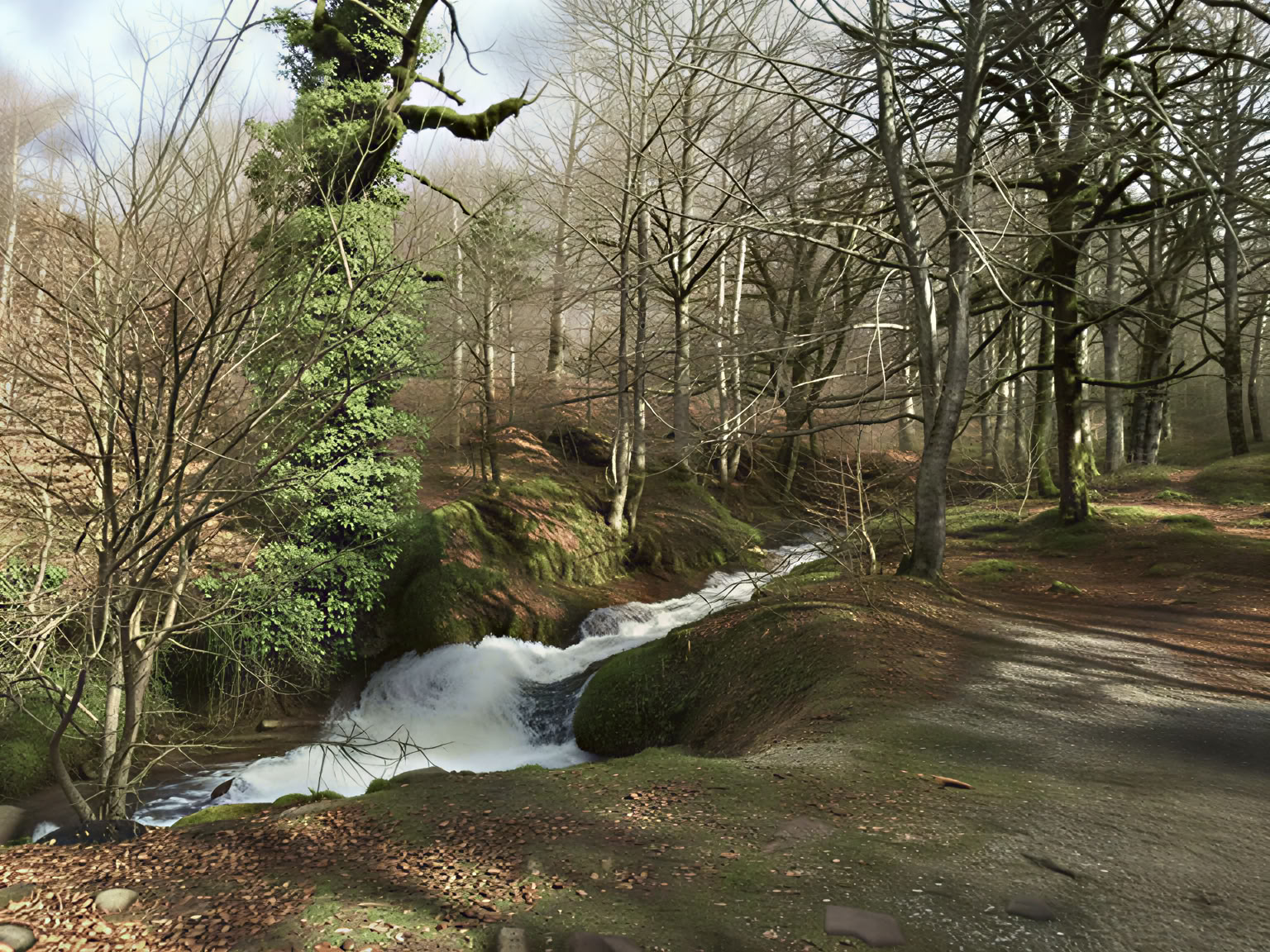 Mindfulness- og yogatilflugtssted: En professionel vintergenstart i Pyrenæerne