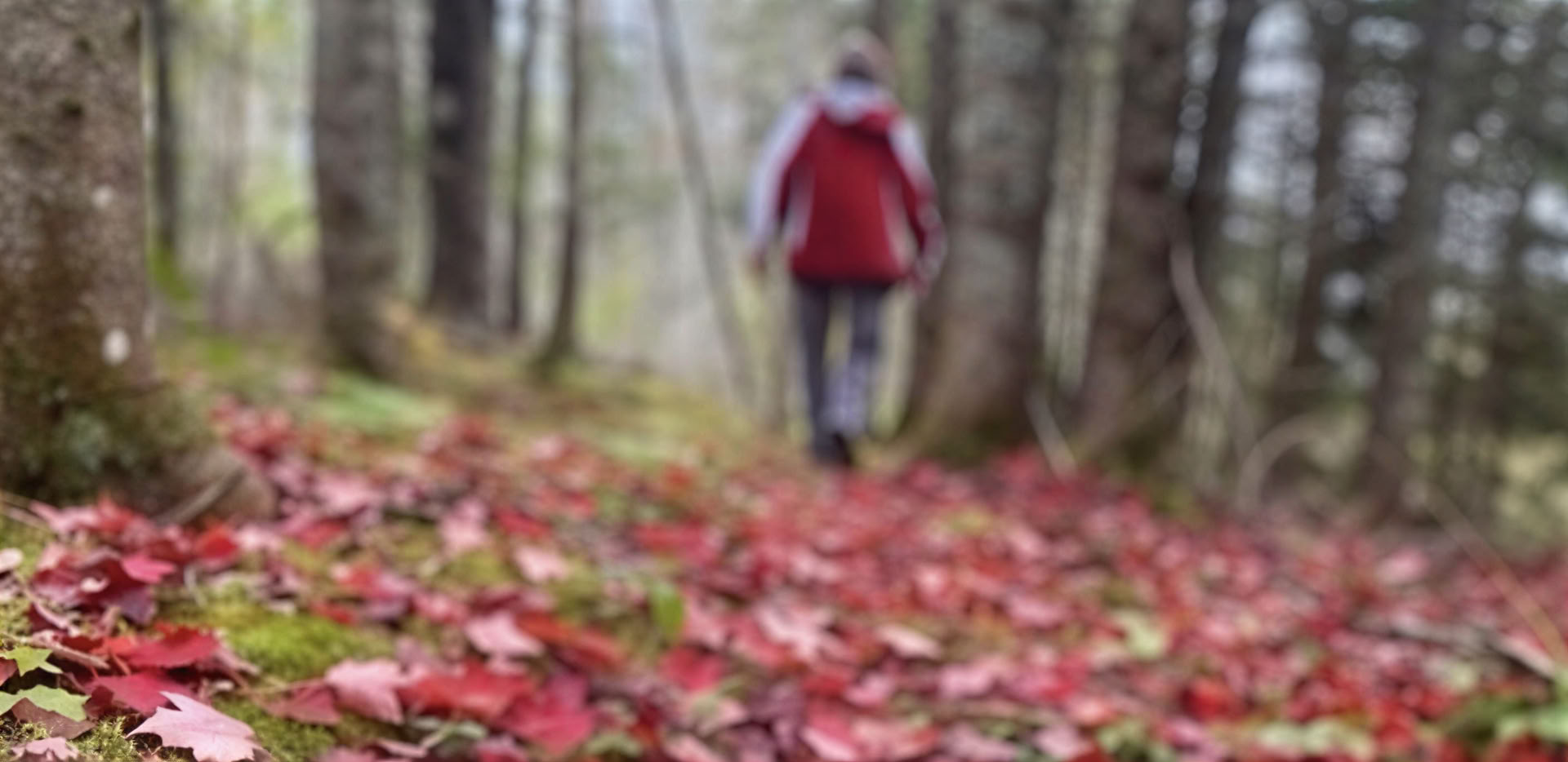 Gentænk Dit Fokus: Et Mindful Fotoretreat