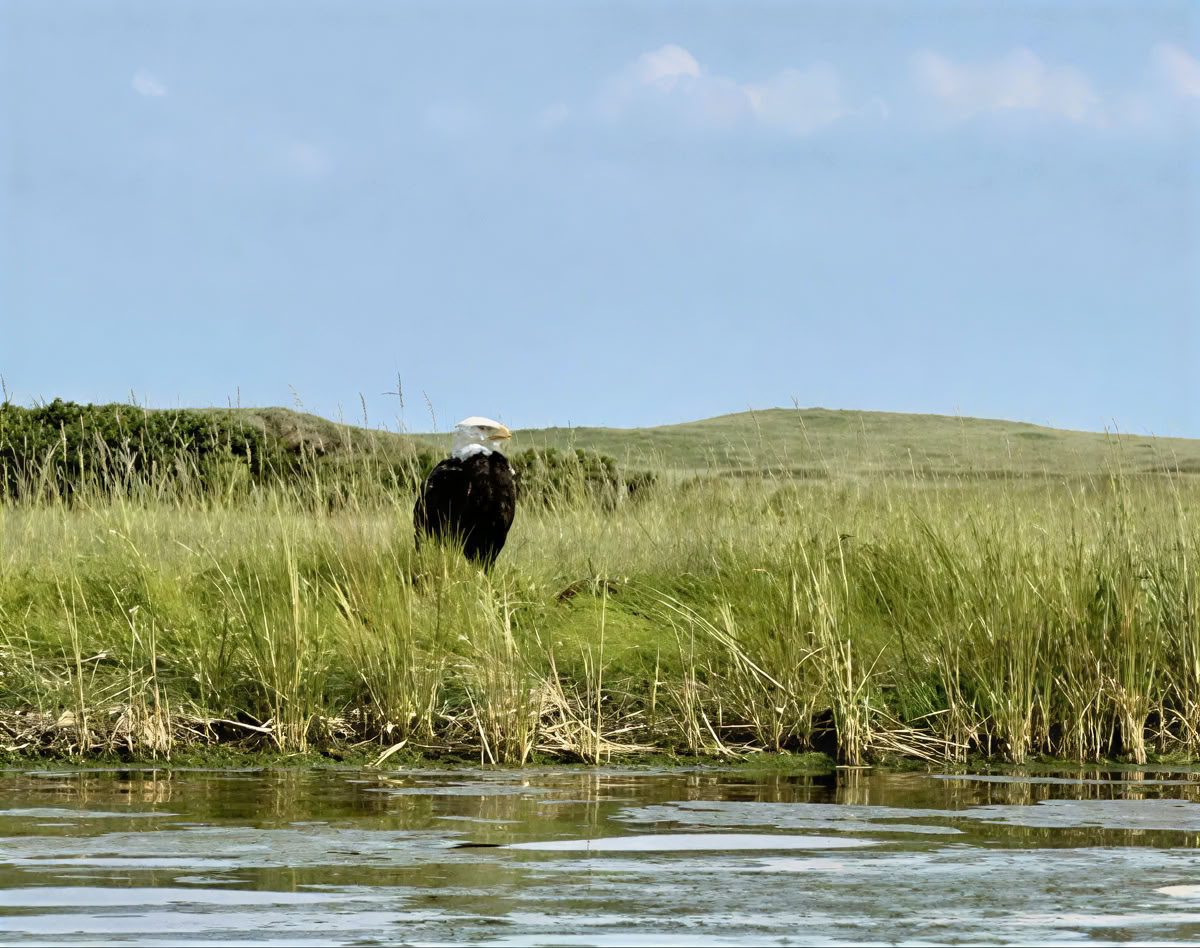 Gentænk Dit Fokus: Et Mindful Fotoretreat