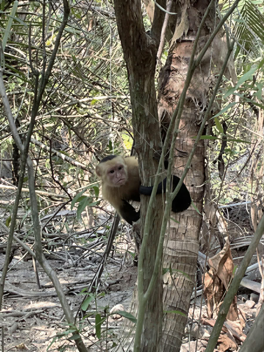 Natur- og rum-eventyrretreat – Costa Rica